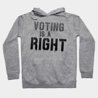 Voting is Not a Freaking Honor--IT IS A RIGHT Hoodie